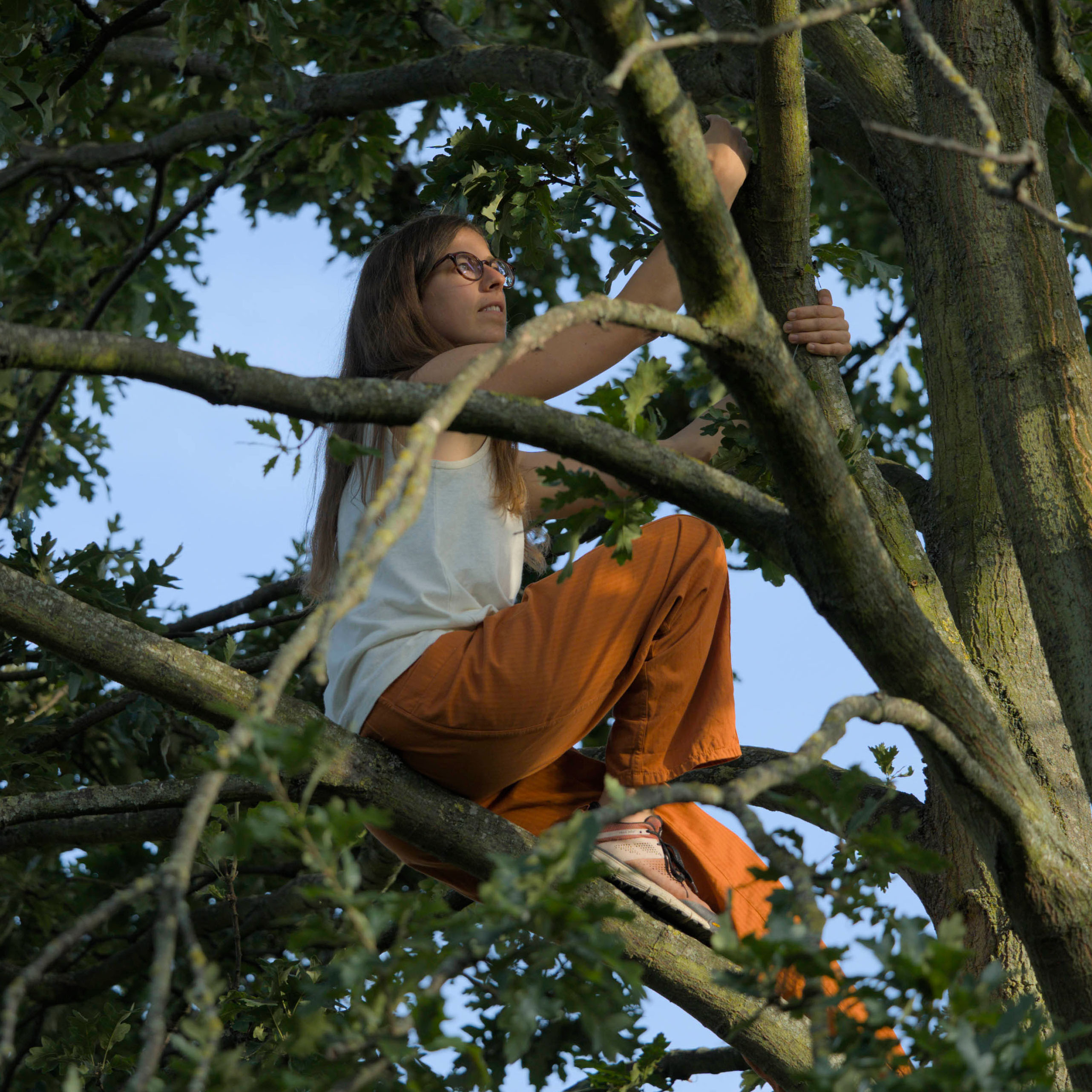 Alice Lieutier avatar